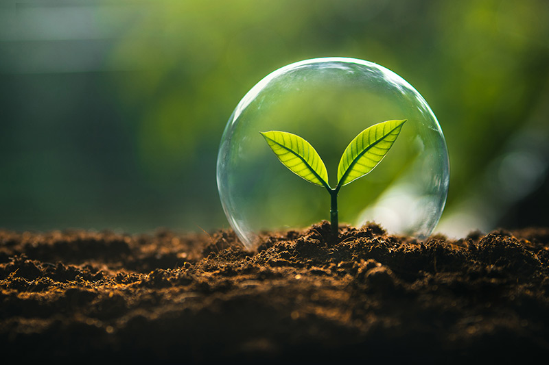 Preserving the planet for future generations